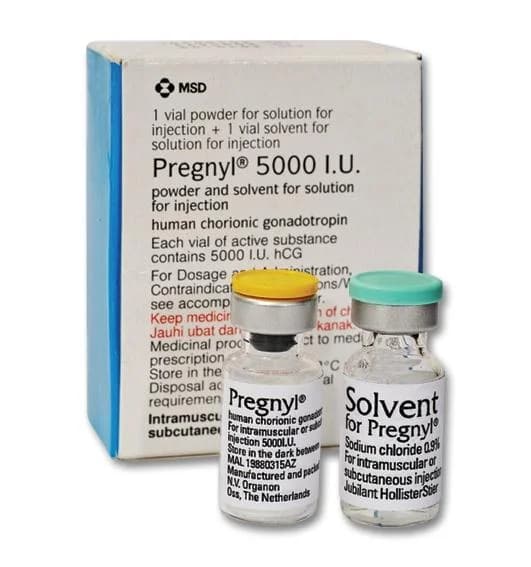 Pregnyl MSD